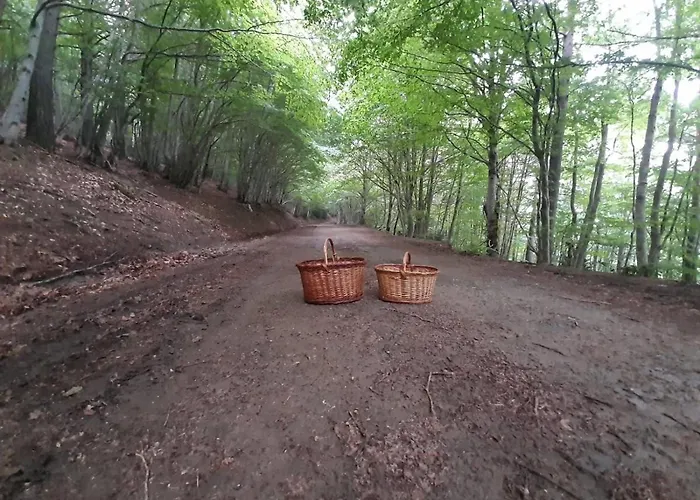 Casa Fraile Сasa de vacaciones *