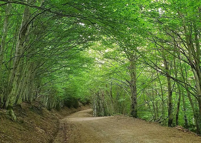 Casa Fraile Сasa de vacaciones